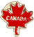 Maple Leaf Lapel Pin