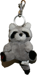 raccoon