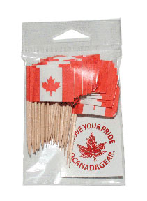 50pk Toothpicks