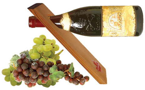 Wine Wedge balancing a bottle of wine